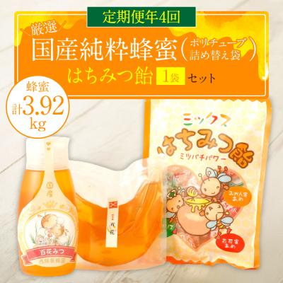 ふるさと納税 八代市 【定期便 年4回】【厳選】ポリチューブ蜂蜜&amp;詰め替え袋+蜂蜜あめ袋_058-5194
