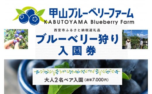 甲山ブルーベリーファーム ブルーベリー狩り入園券（大人2名ペア入園）