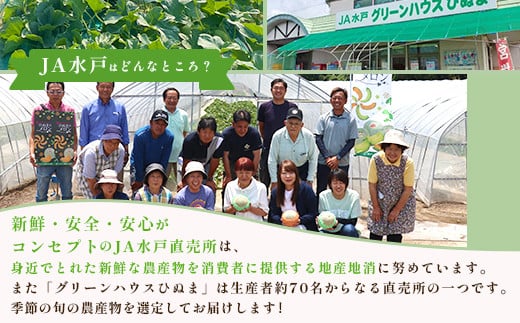 200茨城県産いちご「とちおとめ」2.08kg(2箱8パック)【2026年1月中旬頃~3月下旬頃発送予定】