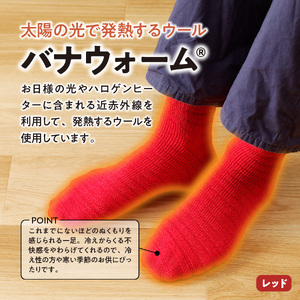 光吸収発熱ウール「ウォームファーム ボーダー柄靴下」（オレンジ） 靴下 ウール 天然繊維 バナウォーム 暖かい 山梨 富士吉田