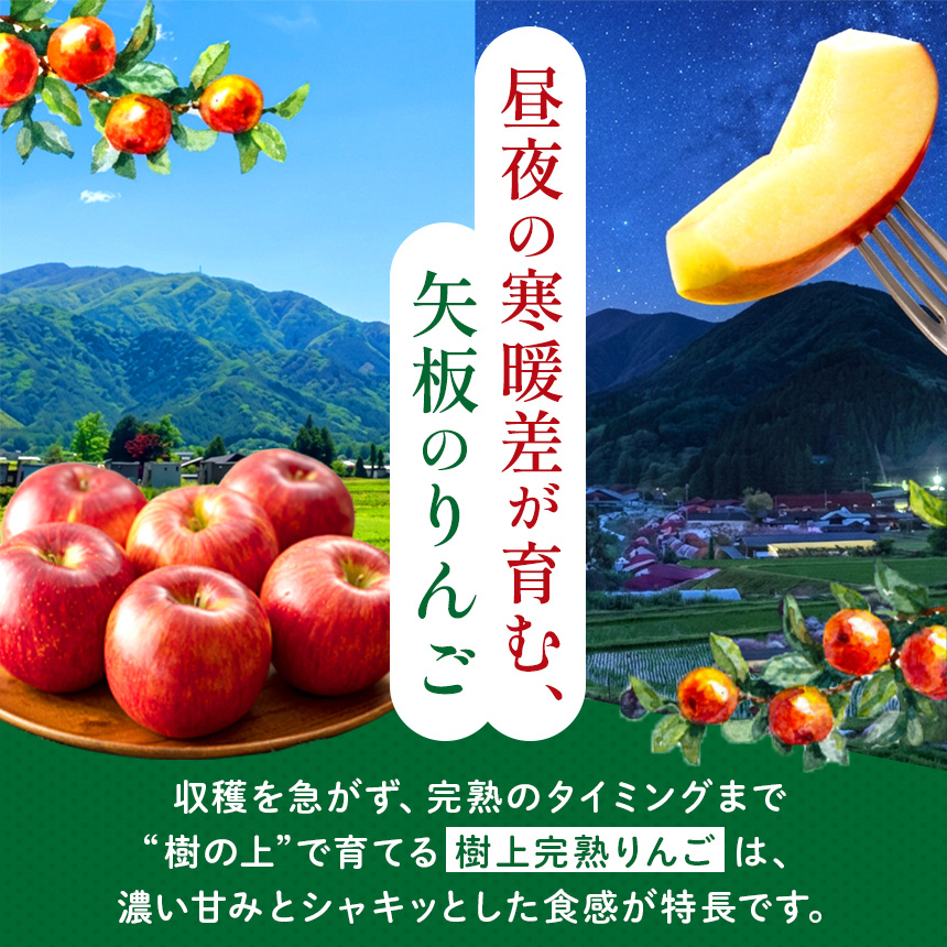 りんご 完熟 ふじ 5kg 箱｜【11月下旬より順次お届け】リンゴ 林檎 フルーツ 果物 栃木県矢板市産