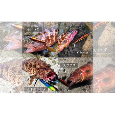 ふるさと納税 飯塚市 RUDIE‘Sの魚極ペン85(18g)セレクト3個セット 釣り具 ルアー |  | 02