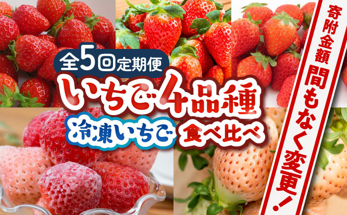 【先行予約】【全5回定期便】佐賀県産 いちご4品種（いちごさん・さがほのか・よつぼし・淡雪）と冷凍いちご食べ比べ / フルーツ 白いちご 紅白いちご / 佐賀県 / 岸川農園 [41ASAG039]