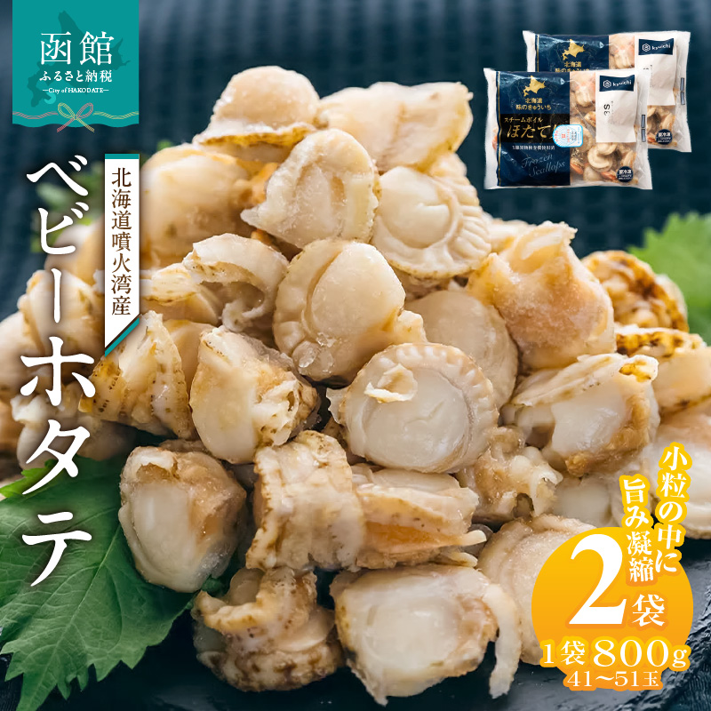 北海道噴火湾産　ベビーホタテ1600g_HD117-047