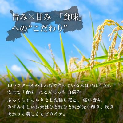ふるさと納税 八頭町 鳥取県産 きぬむすめ 令和7年産 精米済 10kg(5kg×2袋) |  | 01