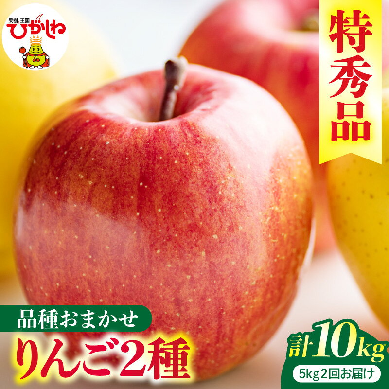 【ふるさと納税】［ 2回 定期便 ］ 2026年産 リンゴ ( 品種おまかせ ) 5kg × 2回 計 10kg 特秀品 | 先行予約 果物 くだもの フルーツ りんご 林檎 アップル サンふじ シナノゴールド シナノスイート ふじ 秋 旬 期間限定 産地直送 お取り寄せ 送料無料 山形県 東根市