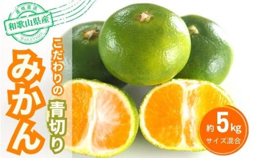 【2025年秋頃発送予約分】こだわりの青切りみかん　約5kg  有機質肥料100%　 サイズ混合　※2025年9月下旬より順次発送予定（お届け日指定不可）【nuk150C】
