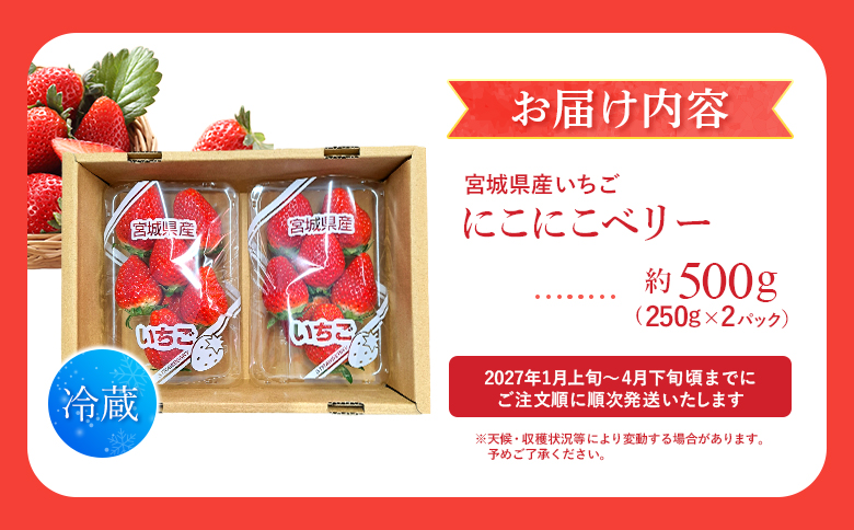 【先行受付】宮城県産いちご「にこにこベリー」約500ｇ（250ｇ×2）| ふるさと納税 宮城県 丸森 いちご 苺 イチゴ ストロベリー フルーツ 果物 くだもの オリジナル品種 デザート スイーツ 甘