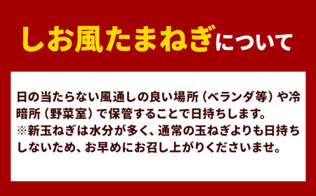 しお風新玉ねぎ 約10kg　たまねぎ 玉ねぎ