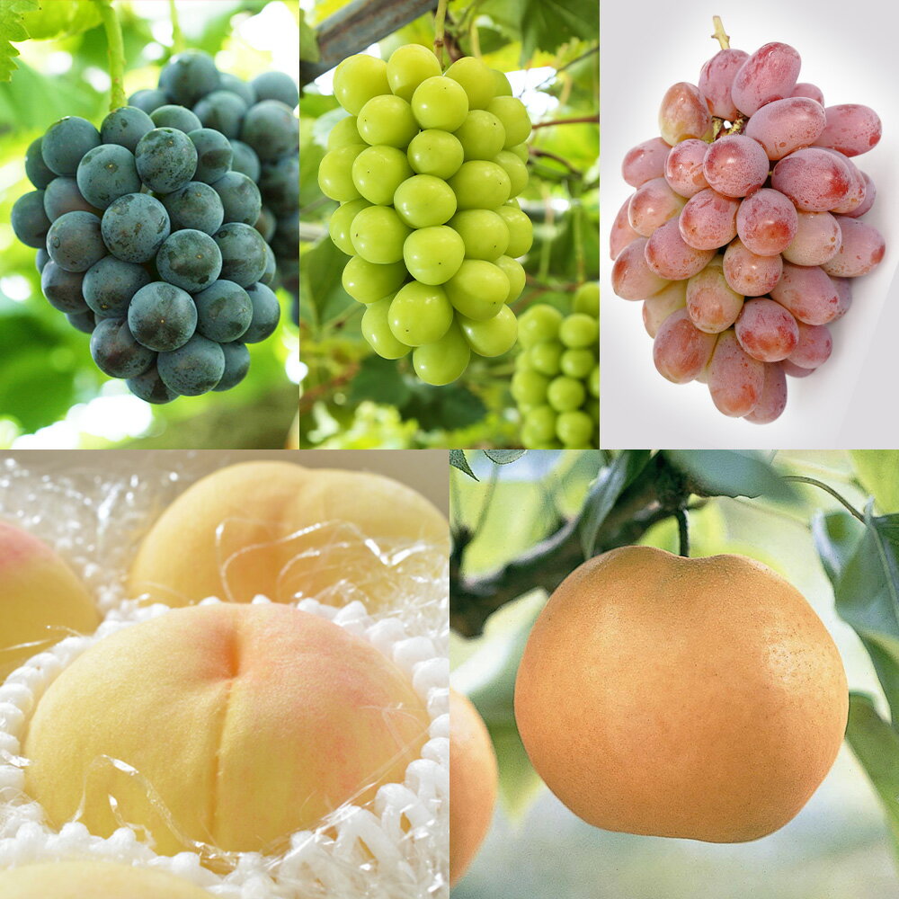 【ふるさと納税】先行予約 晴れの国 岡山のフルーツ 定期便 ＜選べる定期便＞ 2回・3回・6回コース 桃 ぶどう 梨 ギフト 白桃 ニューピオーネ シャインマスカット 高級ぶどう 紫苑 あたご梨 岡山県 倉敷市 送料無料 【2026年7月上旬より順次発送開始】