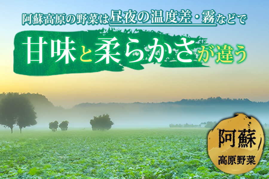 季節のお野菜セット XLサイズ 野菜 10〜12品 詰め合わせ 新鮮 減農薬 高原 旬 産地直送 採れたて 甘い 美味しい 人気 自然 安心 安全 熊本県 阿蘇市