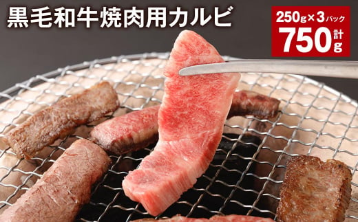 焼き肉 黒毛和牛 カルビ  計約750g(約250g×3パック)  牛肉 BBQ  霜降り 焼肉 焼き肉セット アウトドア 霜降り セット キャンプ おかず 和牛 牛 黒毛和牛 国産 冷凍 黒毛和牛 焼肉用カルビ