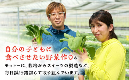 【やみつきのシャキシャキ食感】ちんげん菜キムチ 2袋セット [UDD005] キムチ キムチ2袋 チンゲン菜キムチ