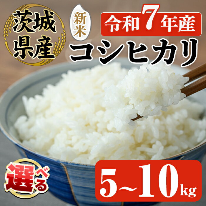 【ふるさと納税】【先行予約】 ＜選べる内容量＞米 お米 新米 令和7年 常陸大宮産 コシヒカリ 5～10kg 令和7年産 精米 白米 こめ コメ ご飯 ごはん こしひかり 5kg 10kg 5キロ 10キロ【JA常陸　常陸農業協同組合】【ho1574】【ho1575】