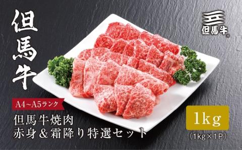 ★レビューキャンペーン実施中★【但馬牛】 焼肉 赤身＆霜降り 特選セット1kg【配送不可地域：離島】