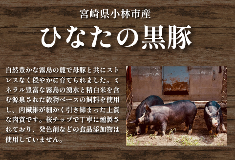 【地元ブランド豚使用】桜ベーコン 訳あり短冊タイプ（黒豚 豚肉 訳あり ベーコン 燻製）