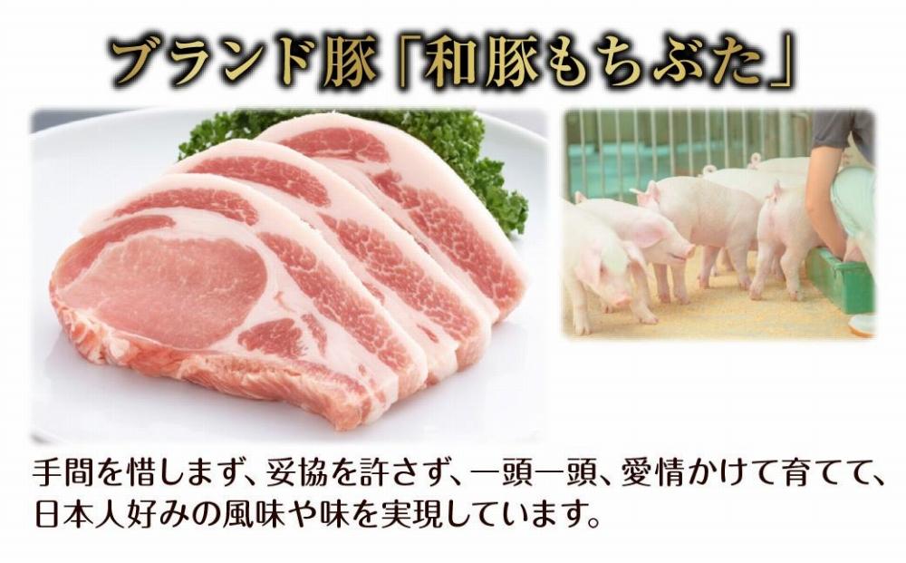 ES500 和豚 もちぶた 角煮 200g×2袋 冷凍 国産 豚肉 とろける ポーク 簡単 湯せん 手軽 おかず お惣菜 お取り寄せ グルメ 夕食 ディナータイム ギフト 肉の片山 送料無料 新潟県 