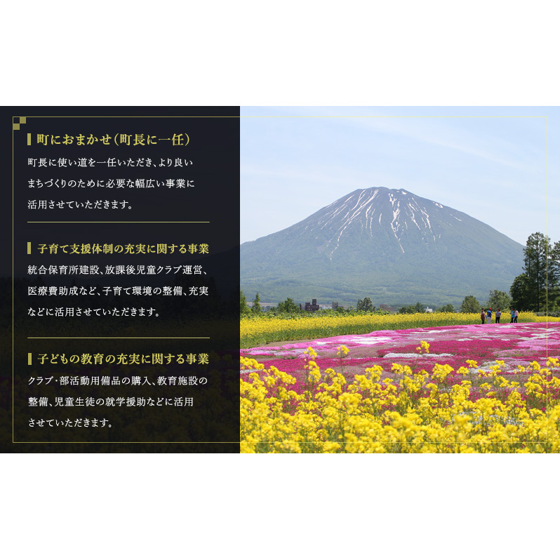 倶知安町 寄附のみの応援受付 75,000円コース（返礼品なし 寄附のみ 75000円）_イメージ5