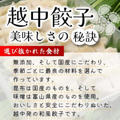 黒部名水ポーク入り越中餃子　3パック(48個入り)【配送不可地域：離島】