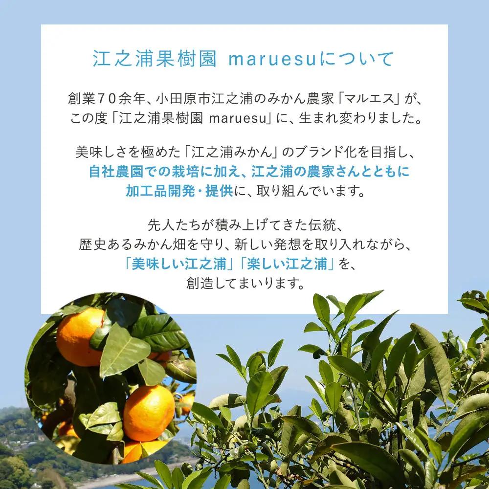 小田原 片浦レモンハンドクリーム１２個【ハンドクリーム ハンドクリーム 神奈川県 小田原市 】