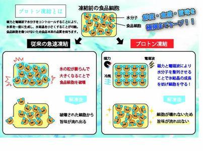 【訳あり】本マグロ 中トロ140g 不定貫 養殖マグロ 高知県産 指定日発送可能