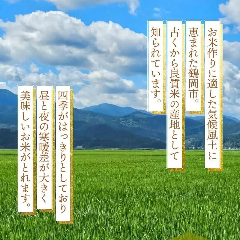 【令和8年産先行予約】 はえぬき　玄米（庄内米）　30kg×1袋　農家 長四郎