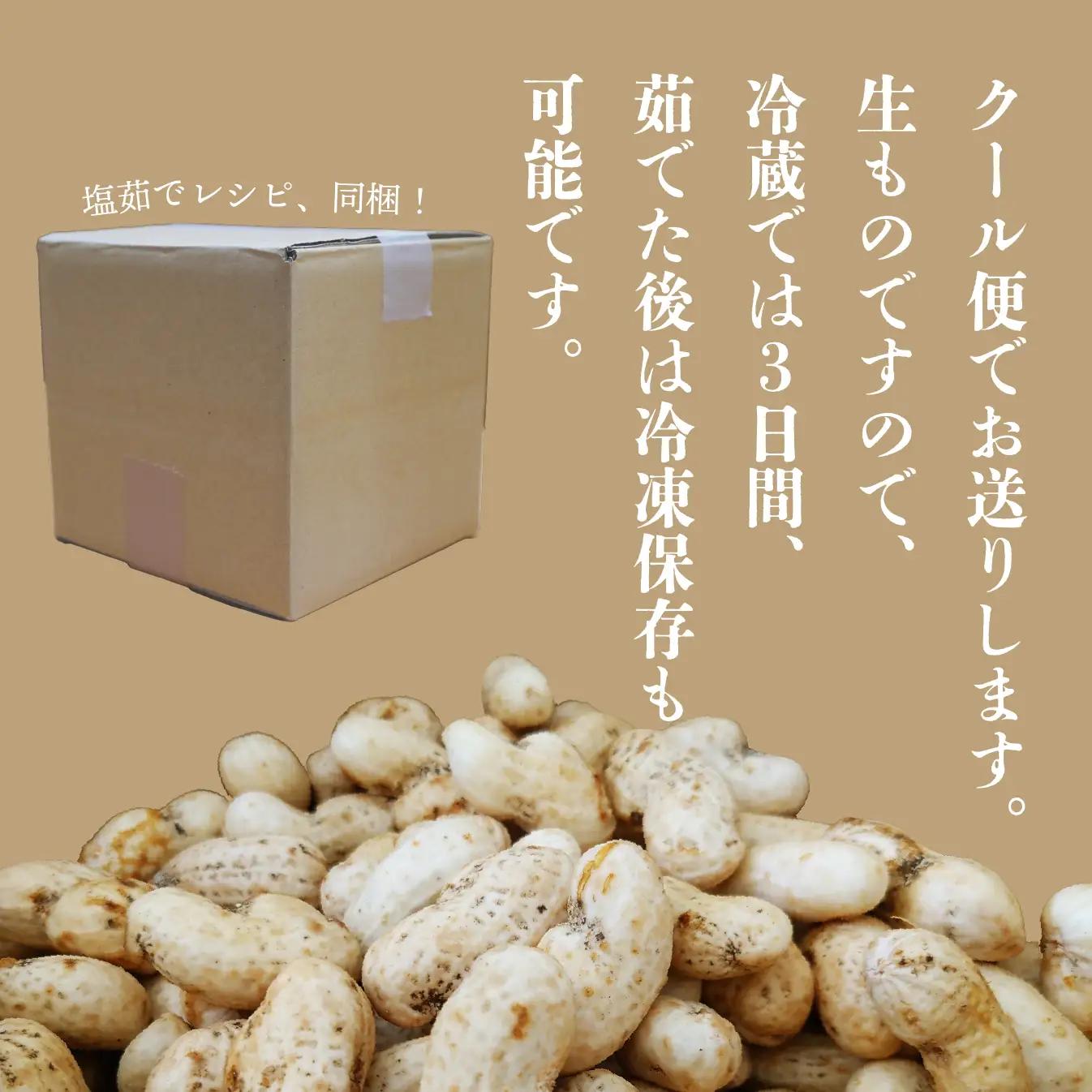 【白馬産】やみつき落花生　おおまさり約1.7kg 　/長野県白馬村産　
