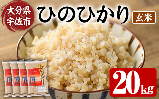 ＜令和7年産＞ひのひかり 玄米 (計20kg・5kg×4P) お米 ごはん ご飯【107101503】【あいはな農園】