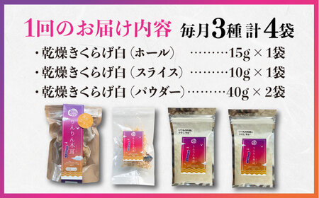 【全12回】きくらげ 白セット計4袋 きくらげ[XCB020]