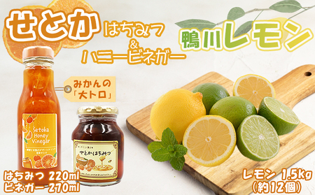 【数量・期間限定】せとかフルーツ調味料＆鴨川レモンセット（ビネガー・はちみつ各１本・レモン1.5kg）　[0012-0067]