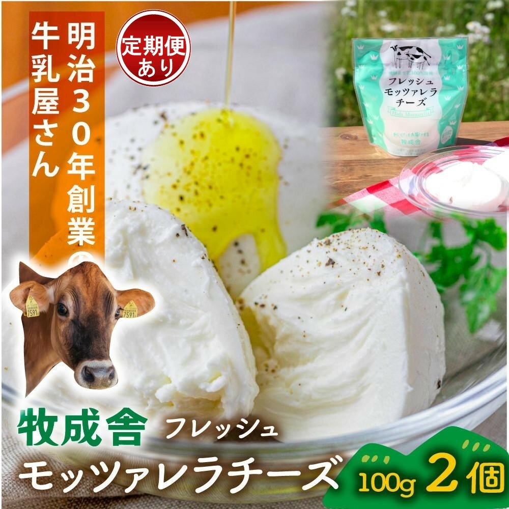【ふるさと納税】＜牧成舎＞飛騨の牛乳屋さんが作った こだわりの フレッシュモッツァレラチーズ（100g×2個）単品配送／定期便全3～12回 (毎月発送)|DF036MP