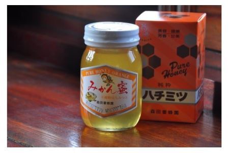 国産純粋はちみつ(みかん蜜) 600g(B163-1)
