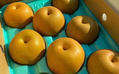 先行予約 和梨 豊水 約5kg 令和8年度 新潟県 三条市産 梨 [しなのがわジューシーファーム]【015S132】