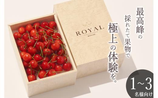 ＜2026年発送先行予約＞南アルプス市産 さくらんぼ L,2Lサイズ BOX 250g ALPAL026