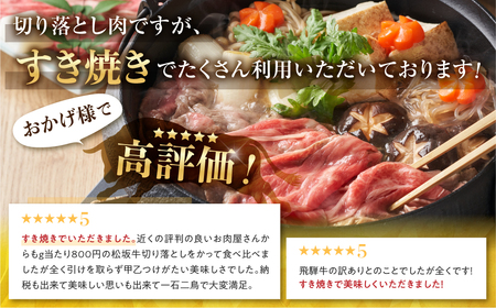 《定期便》飛騨牛 切り落とし 肉 400g ×6回 定期便 計2.4kg JAひだ [S630]