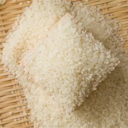 【食味鑑定士厳選】岡山県産 コシヒカリ10kg(5kg×2袋)【1643907】