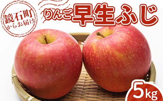 
            りんご 早生ふじ 5kg （12玉～20玉） リンゴ フルーツ 果物 F6Q-287
          