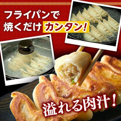 ふるさと納税 横浜市 国産食材、銘柄豚使用!肉汁あふれる!【横浜大宝餃子】もちもち国産ジャンボ大宝餃子　30個×4 |  | 02