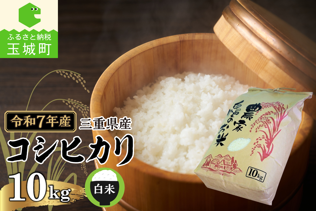 令和7年産 三重県産コシヒカリ 10kg(農家直送)