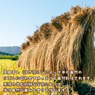 ふるさと納税 淡路市 健幸農園の天日干し米10kg　ak29017 |  | 02