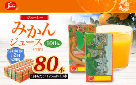 【6ヶ月毎2回定期便】 ジューシー みかんジュース 100％ （学給） 125ml×36本 みかん ミカン 蜜柑 ジュース オレンジジュース 飲料 紙パック 国産 熊本県