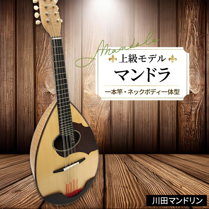 【ふるさと納税】【上級モデル】マンドラ [No.293] ／ 楽器 弦楽器 送料無料 岐阜県