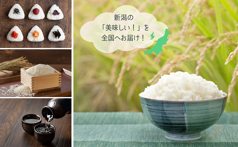 【定期便】コシヒカリブレンド5kg×3回 米 こしひかり ブレンド 定期 新潟市