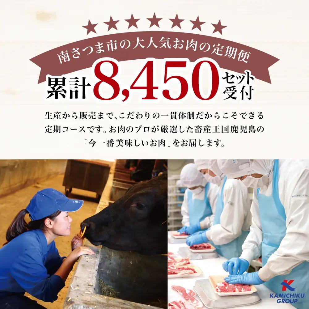 【定期便全6回】情熱牧場 鹿児島県産お肉の定期便 トライアルコース お肉 ステーキ すき焼き しゃぶしゃぶ 焼肉 BBQ A5等級 黒毛和牛 牛肉 豚肉 スライス 小分け 定期便 冷凍 カミチク 南さ