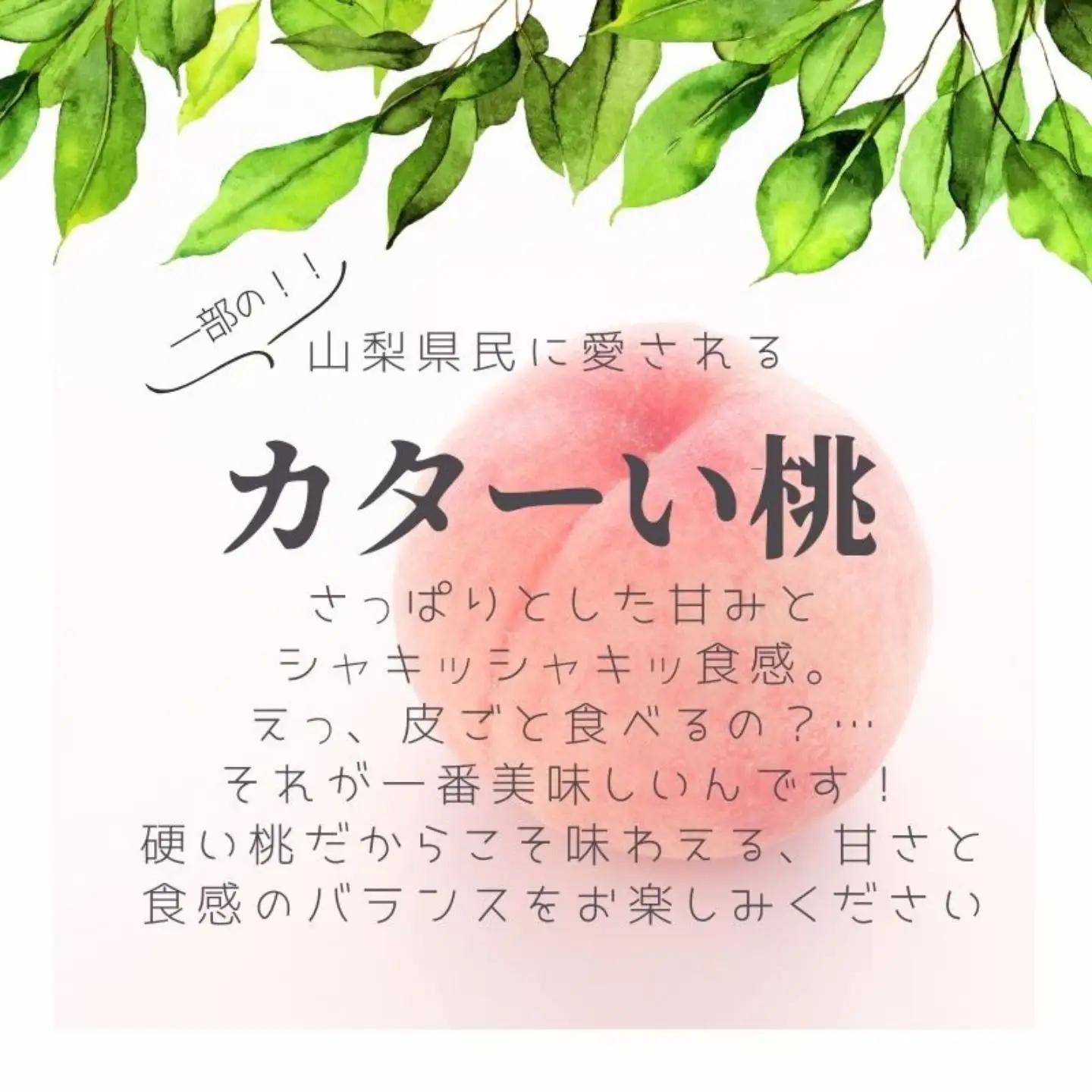 【2027年　先行予約】日本一の産地山梨県産　朝採れカターい桃 約２Kg（5～8玉）｜もも フルーツ