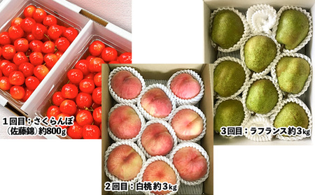 【定期便3回】山形市至高のフルーツ定期便 全3回C 6月発送開始【令和8年産先行予約】FS24-762 くだもの 果物 フルーツ 山形 山形県 山形市 2026年産