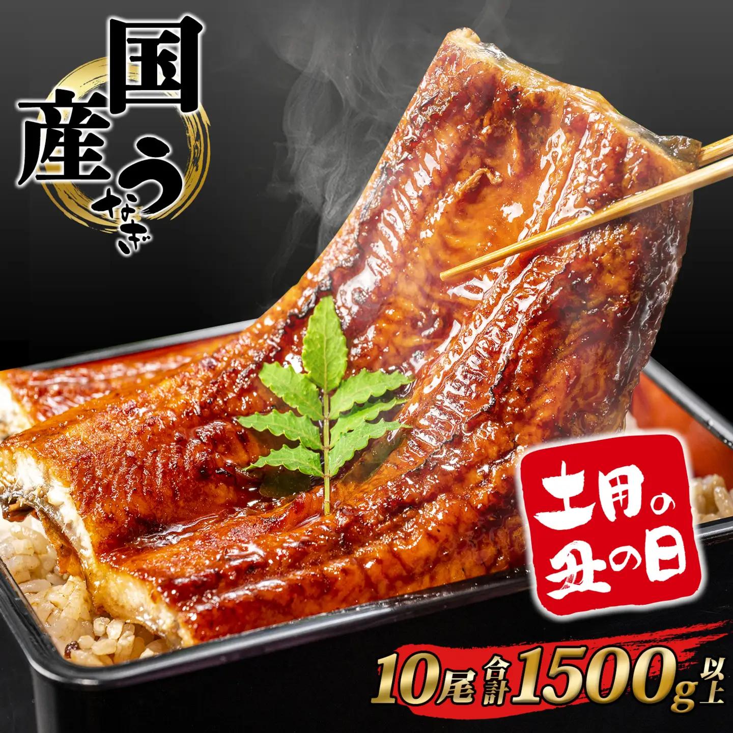 うなぎ蒲焼 10尾 国産 うなぎ 鰻 丑の日 K2394