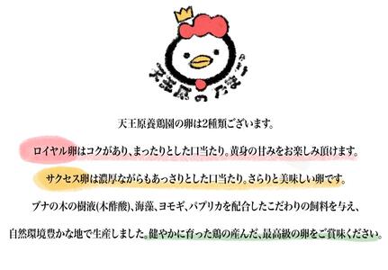 【天王原のたまご】サクセス卵50個入り