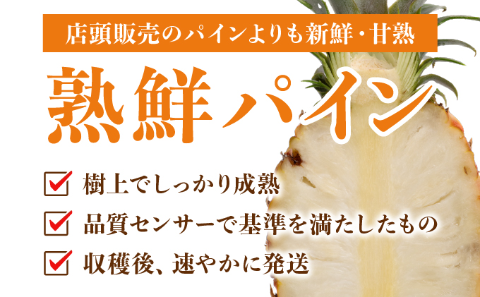【訳あり】大きさ不揃い　お得！箱にいっぱいピーチパイン4㎏セット