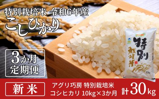 [定期便10kg×3ヶ月] 特別栽培米 コシヒカリ10kg 令和6年産 新潟県認証 新潟県三条市産 こしひかり 3か月連続でお届け【053S002】